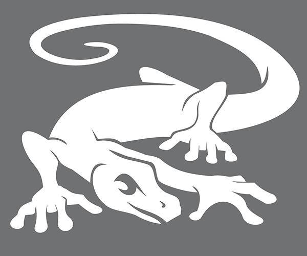 gekko_darrtec_logo_klein